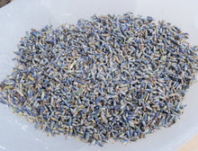 Load image into Gallery viewer, Lavender - Primtentions