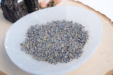 Load image into Gallery viewer, Lavender - Primtentions