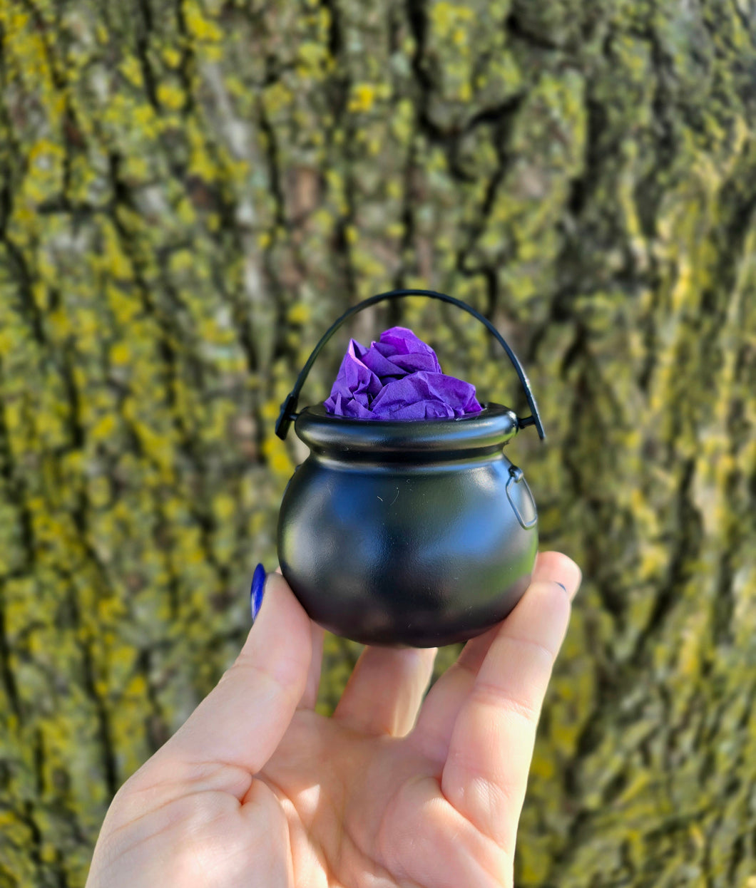 Mystery Cauldron