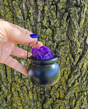 Load image into Gallery viewer, Mystery Cauldron
