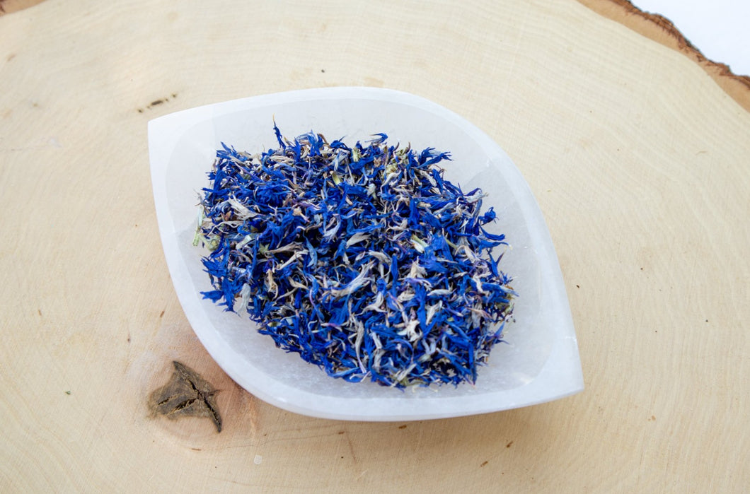 Cornflower